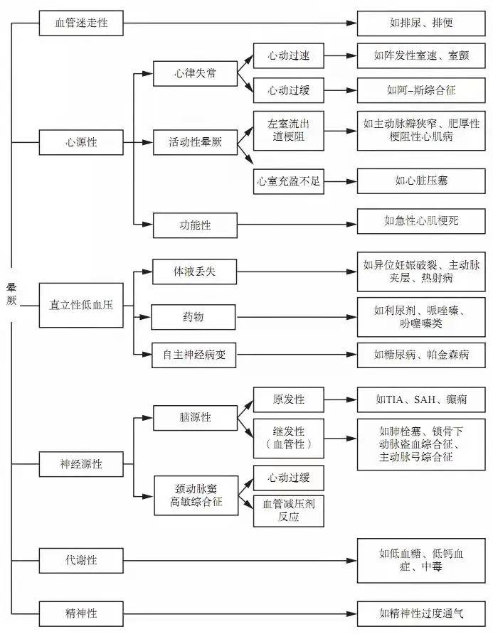 777778888王中王最新,探索数字背后的秘密，揭秘王中王最新与数字组合777778888的奥秘