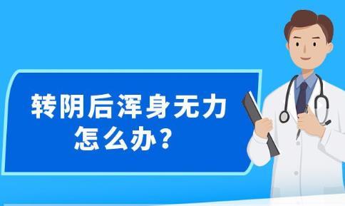 2024新澳精准资料免费提供下载,关于新澳精准资料的探讨与分享，免费下载之旅