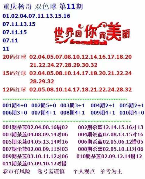 二四六天天彩资料大全网最新2024,二四六天天彩资料大全网最新2024，探索与预测