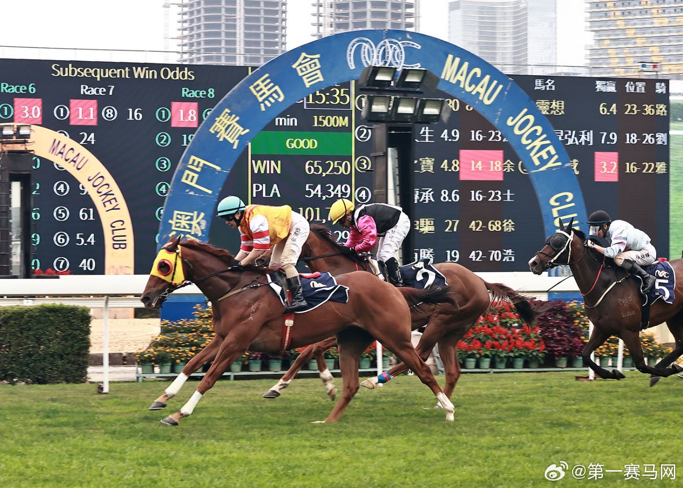 香港内部马料免费资料亮点,香港内部马料免费资料亮点解析