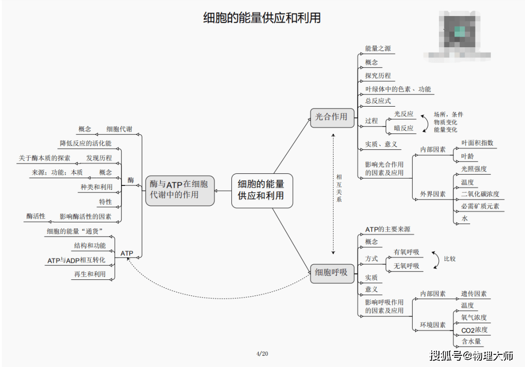 今晚必出三肖,今晚必出三肖，预测与探索