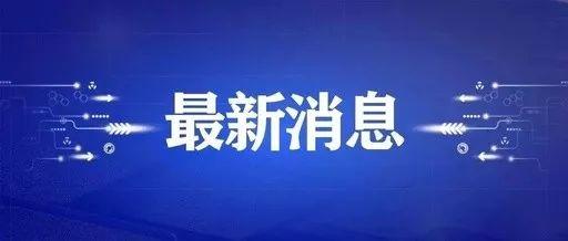 2025新澳门原料免费462,探索澳门原料市场的新机遇，2025展望与免费策略的实施分析（关键词，新澳门原料免费462）