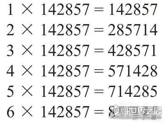 7777788888一肖一码,探索神秘数字组合，77777与88888一肖一码的世界